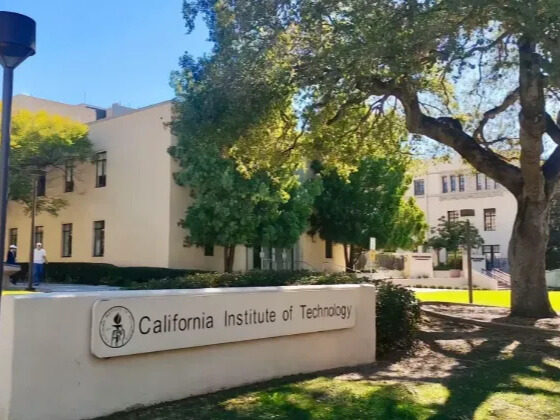 美國大學